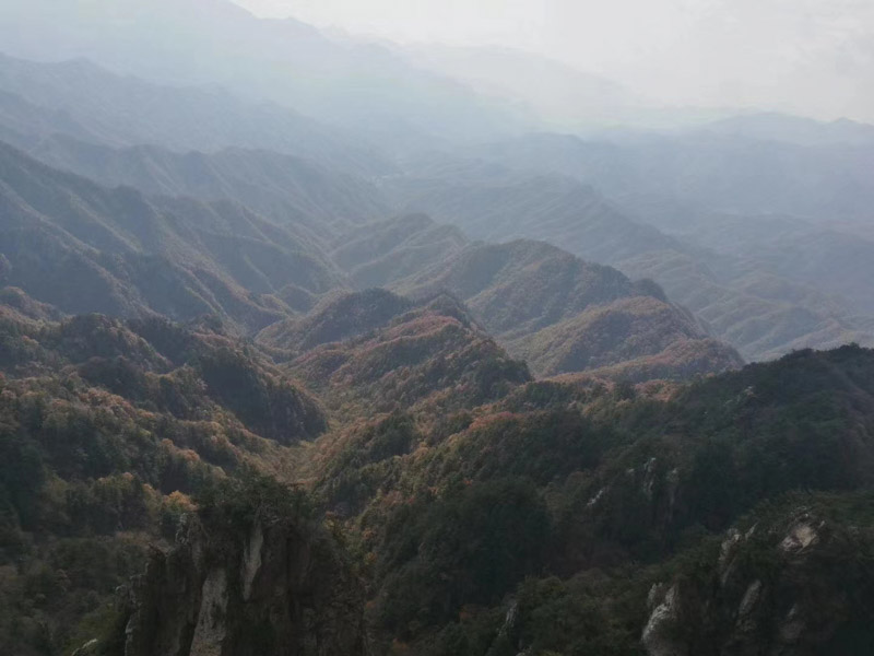 深圳遺產繼承律師講解代位承繼適用的范圍是什么？